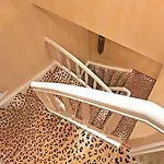 Lion * Monaco di Baviera