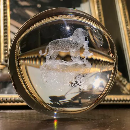 Lion * Munich