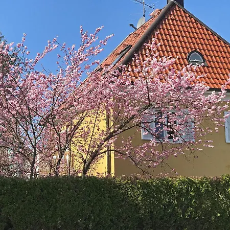 Homestay Lion Munich